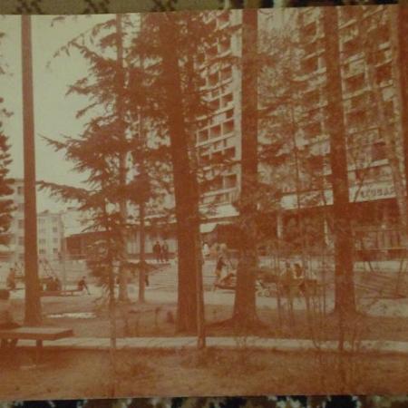 Посмотреть крупнее