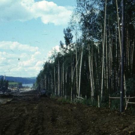 Посмотреть крупнее