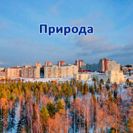 Посмотреть крупнее