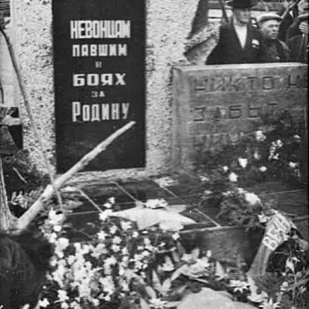 Посмотреть крупнее