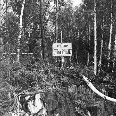 Посмотреть крупнее